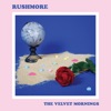 Rushmore - Single