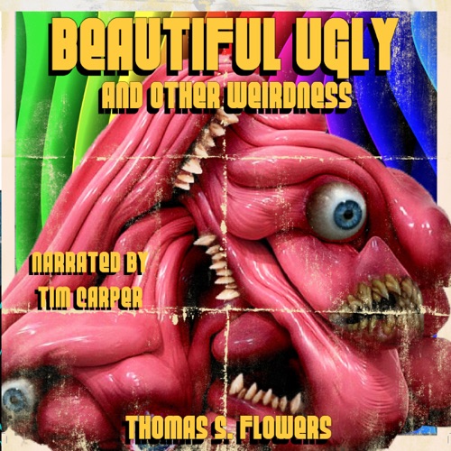 Beautiful Ugly: And Other Weirdness (Unabridged) cover