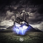 Calm Before the Storm - EP artwork