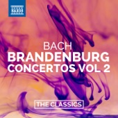 Brandenburg Concerto No. 4 in G Major, BWV 1049: III. Presto artwork