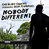 Nobody Different (feat. Don Flamingo) - Single