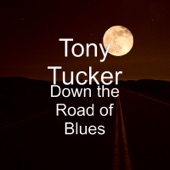 Down the Road of Blues artwork