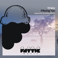 Missing You - Single - Wrigley