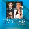 TV Themes, Vol. 3 - EP, 2011