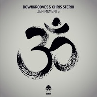Zen Moments - Single - Downgrooves & Chris Sterio