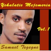 Yekalatie Mejemeria, Vol.1 artwork