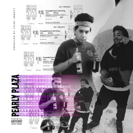 Poppin' Bottles.Champagne Studio (feat. J.Will) PlazaPearly