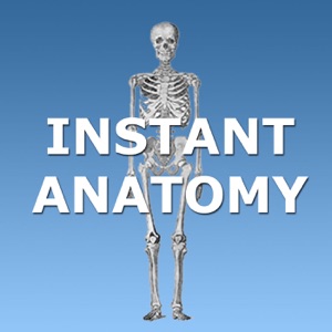 AB6 - Abdomen: Liver, biliary system, pancreas and spleen