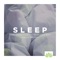 Deep Sleep - Dzen Guru lyrics