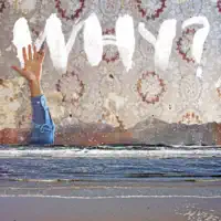 George Washington — WHY?