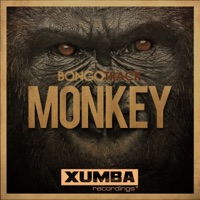 Monkey - Single - Bongotrack