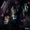 On the Run (2Phaze Remix)