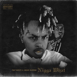 N***a What (feat. Mike Sherm) TayWest