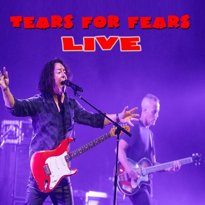 Tears for Fears - - Tears for Fears - Woman in Chains.