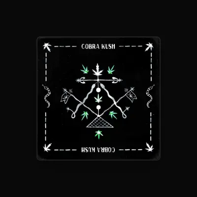 Listen to Von Party, watch music videos, read bio, see tour dates & more!
