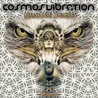 descargar álbum Cosmos Vibration - Shamanic Journey