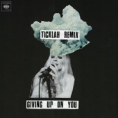 Giving up on You (Ticklah Remix) artwork