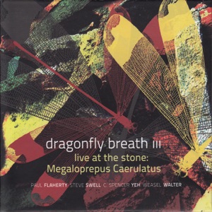 Megaloprepus Caerulatus (feat. Steve Swell, Paul Flaherty, C. Spencer Yeh & Weasel Walter) [Live]