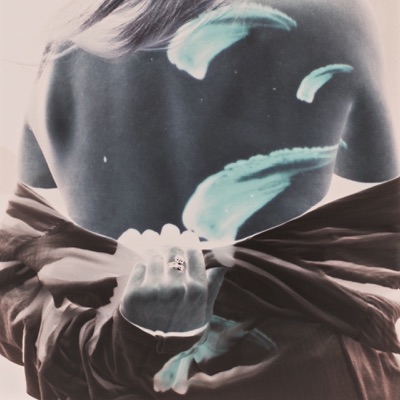 Shadows - Single