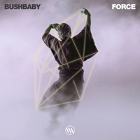 Force - Single - Bushbaby