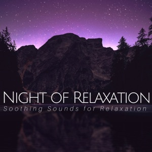 Night of Relaxation: Soothing Sounds for Relaxation, Sleep Music, Background Music for Trouble Sleeping, Inner Peace