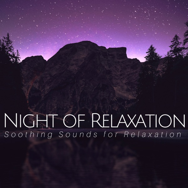 Night of Relaxation: Soothing Sounds for Relaxation, Sleep Music, Background Music for Trouble Sleeping, Inner Peace