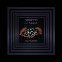 Diamond in the Rough - Clay Hodges