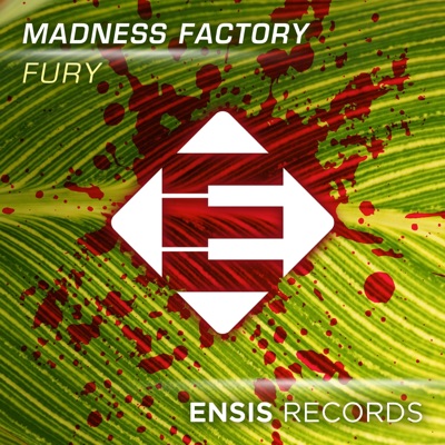 Fury - Single