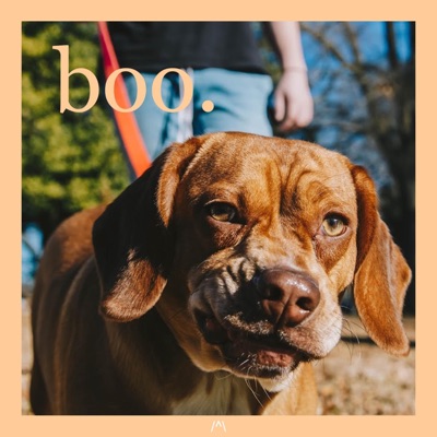 Boo. - Single