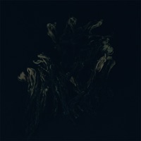 Rhizome - August Rosenbaum