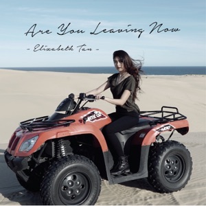 Are You Leaving Now Album Art