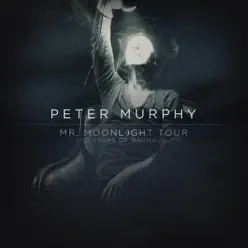 Mr. Moonlight Tour - 35 Years of Bauhaus (Live) - Peter Murphy Mr. Moonlight Tour - 35 Years of Bauhaus (Live) - Peter Murphy