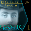 Turandot: "Nessun dorma" (Chorus) [Sing Along Karaoke Version] - Compagnia d'Opera Italiana, Chorus of Compagnia d'Opera Italiana & Antonello Gotta