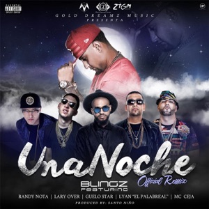 Una Noche (Remix) [feat. Randy Nota, Lary Over, Guelo Star, Lyan el Palabreal & MC Ceja] - Single