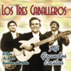 Los Tres Caballeros - Perdon