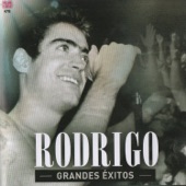 Grandes Éxitos artwork