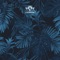 Human Call (Ali Kuru Remix) - Earthboogie lyrics