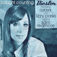 Caught Counting (feat. Lizzy Parks & Azaxx) - Single - Diesler