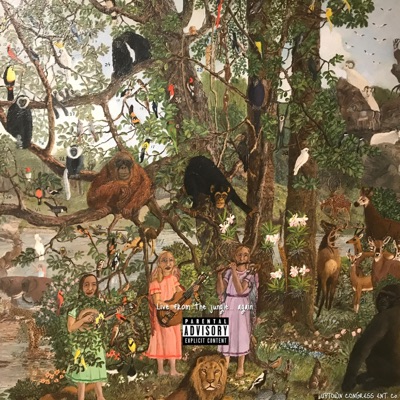 Live from the Jungle... Again