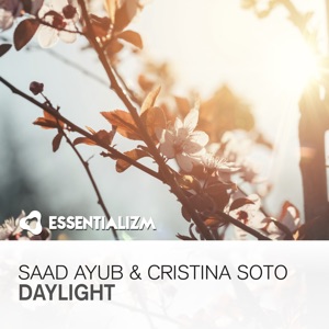 Daylight - Single