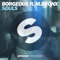 Souls (feat. M.BRONX) [Extended Mix] - Borgeous lyrics