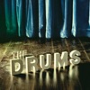 The Drums, 2010
