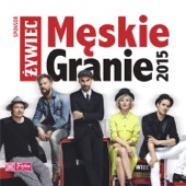 Męskie Granie 2015 artwork