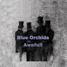 Blue Orchids - Disney Boys