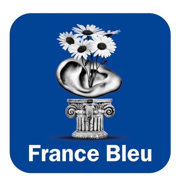 les Experts du bricolage France Bleu Touraine cover