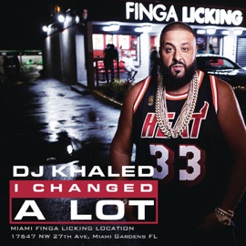 Hold You Down (feat. Chris Brown, August Alsina, Future & Jeremih) DJ Khaled