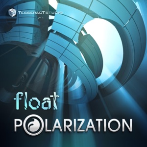 Polarization - Single