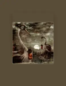 聆聽 Darren Bartlett、觀看音樂影片、閱讀小傳、查看巡演日期等！