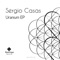 Synthetic - Sergio Casas lyrics