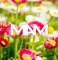 Digital Emotion - Mam lyrics